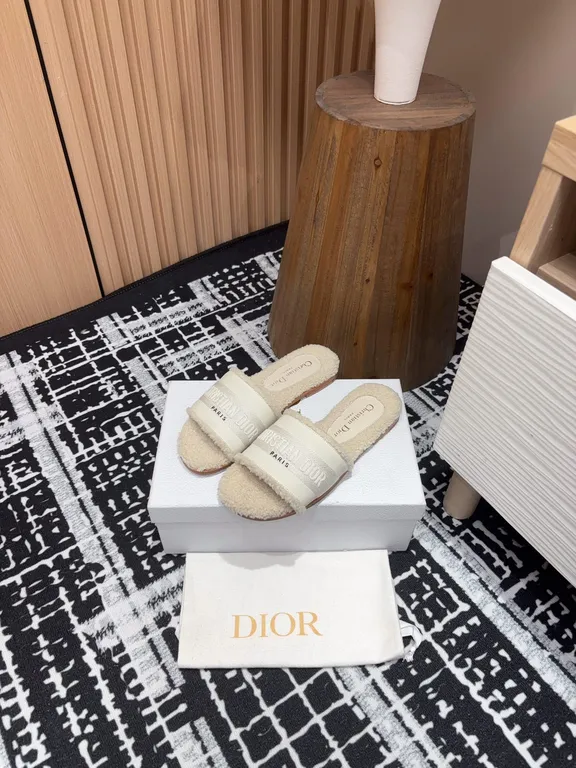 Dior Shoe 